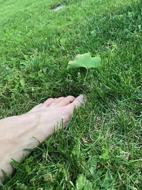 reconnexion à la Terre en marchant pieds nus dans l'herbe